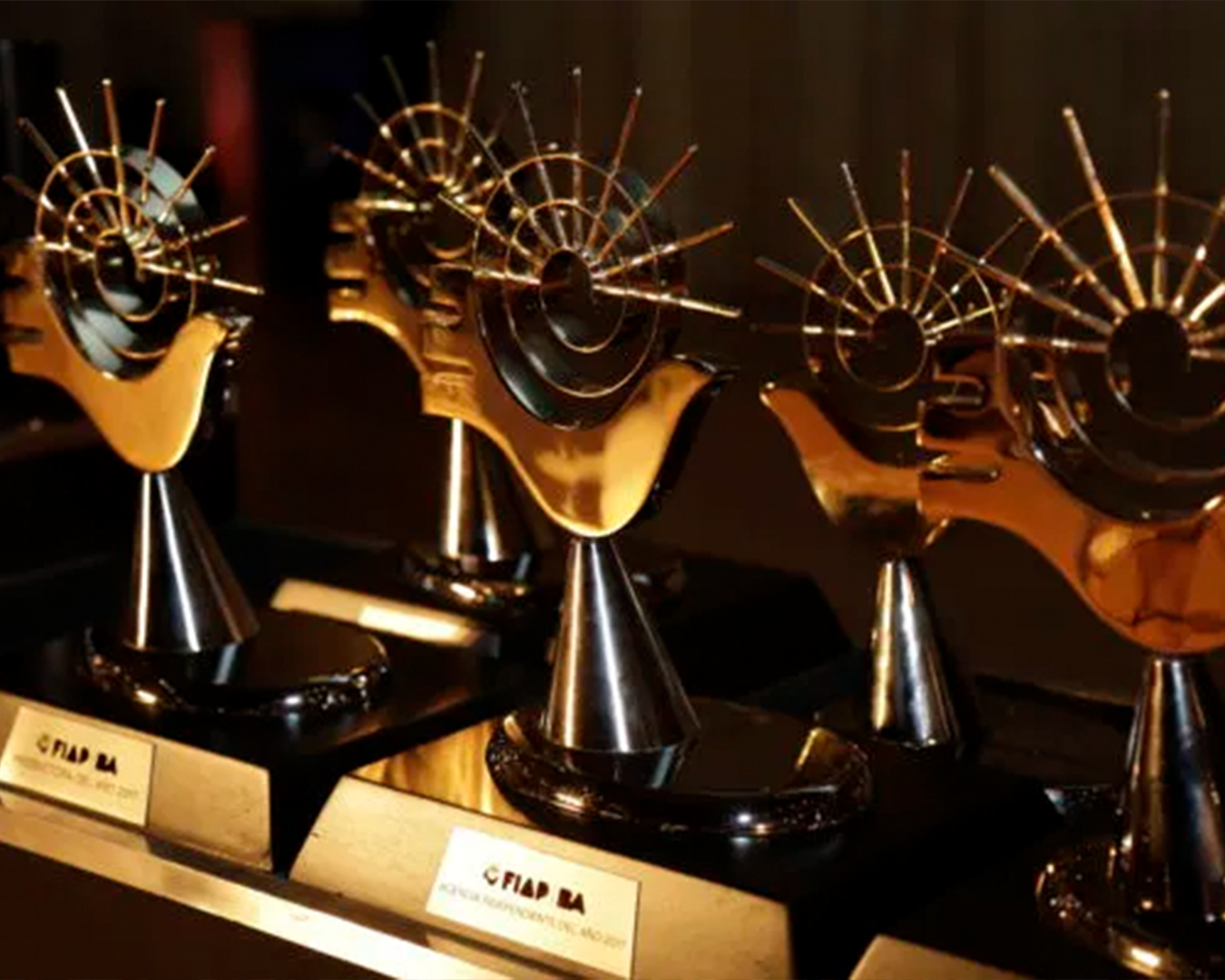 Representante en FIAP, Festival Iberoamericano de la Publicidad, Buenos Aires Argentina